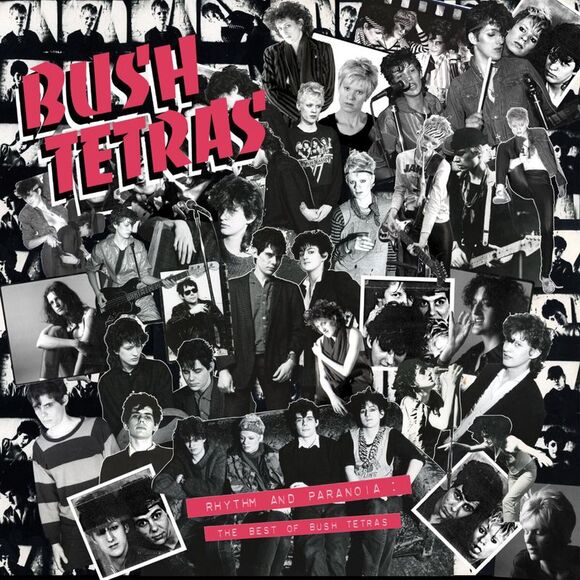Bush Tetras - Rhythm & Paranoia: The Best of Bush TetrasLP LP
